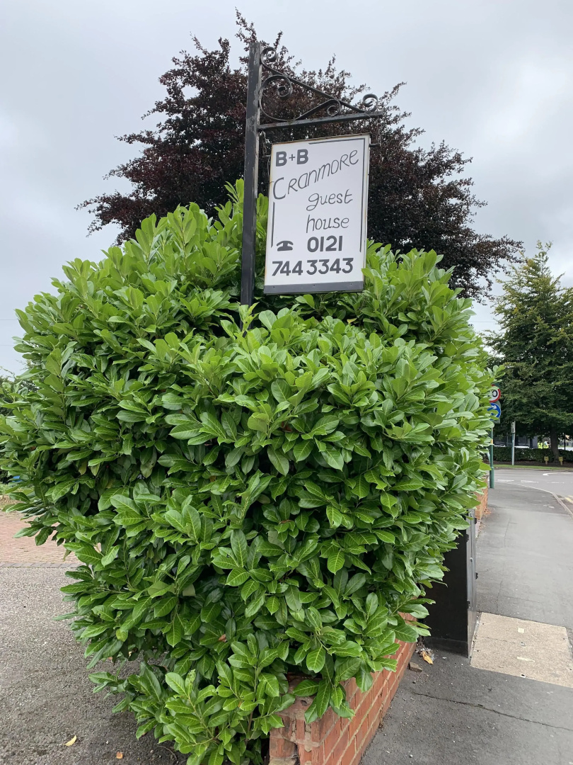 Cranmore Guest House