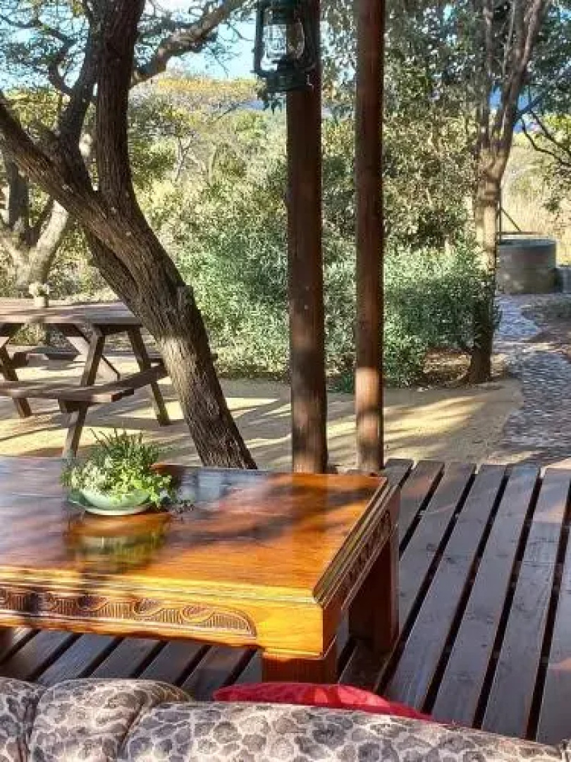 Five Pebbles on Piece of Africa