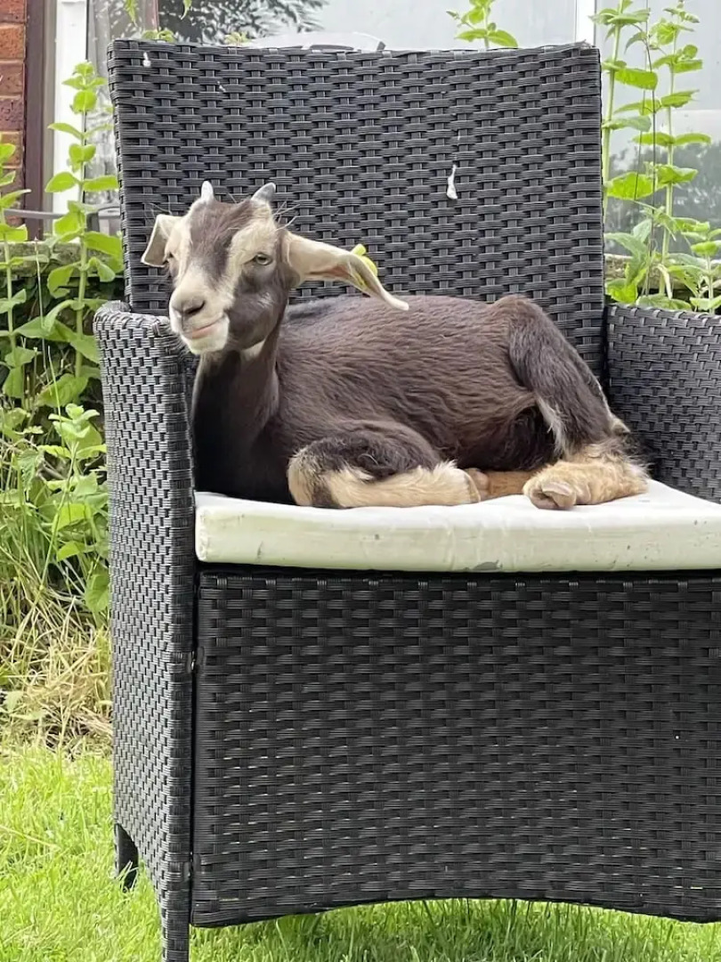 Woodlands Lodge - Come and Enjoy the Good Life