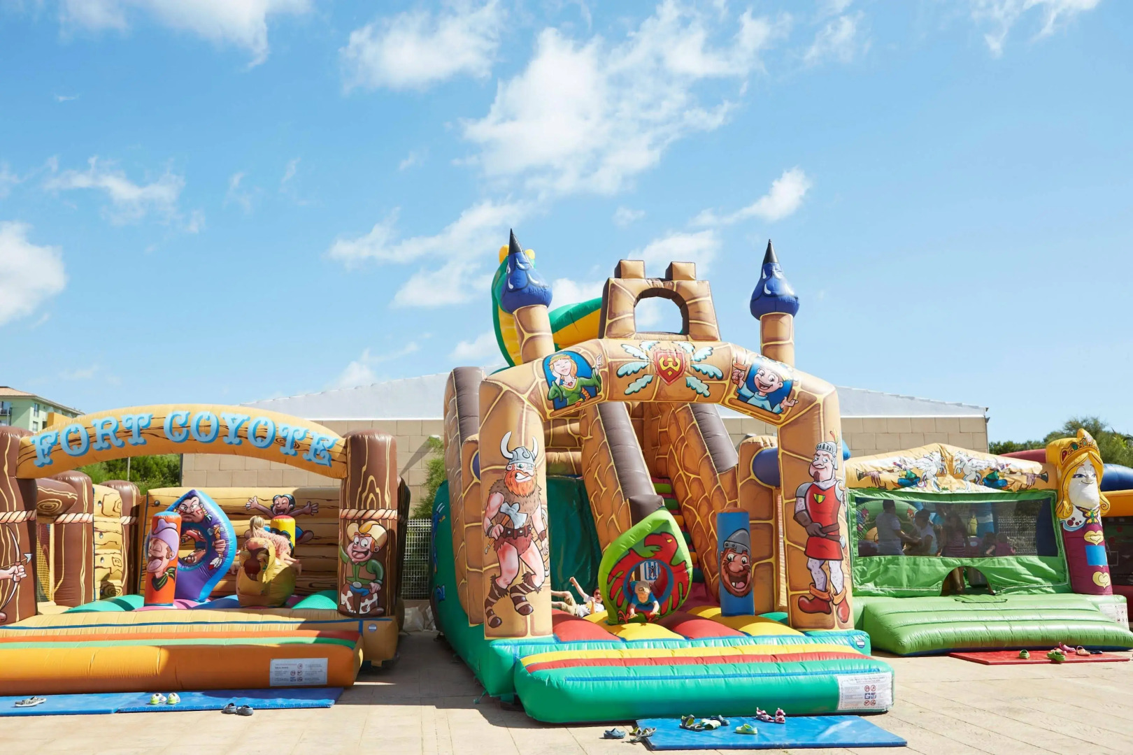 Comitas Isla del Aire