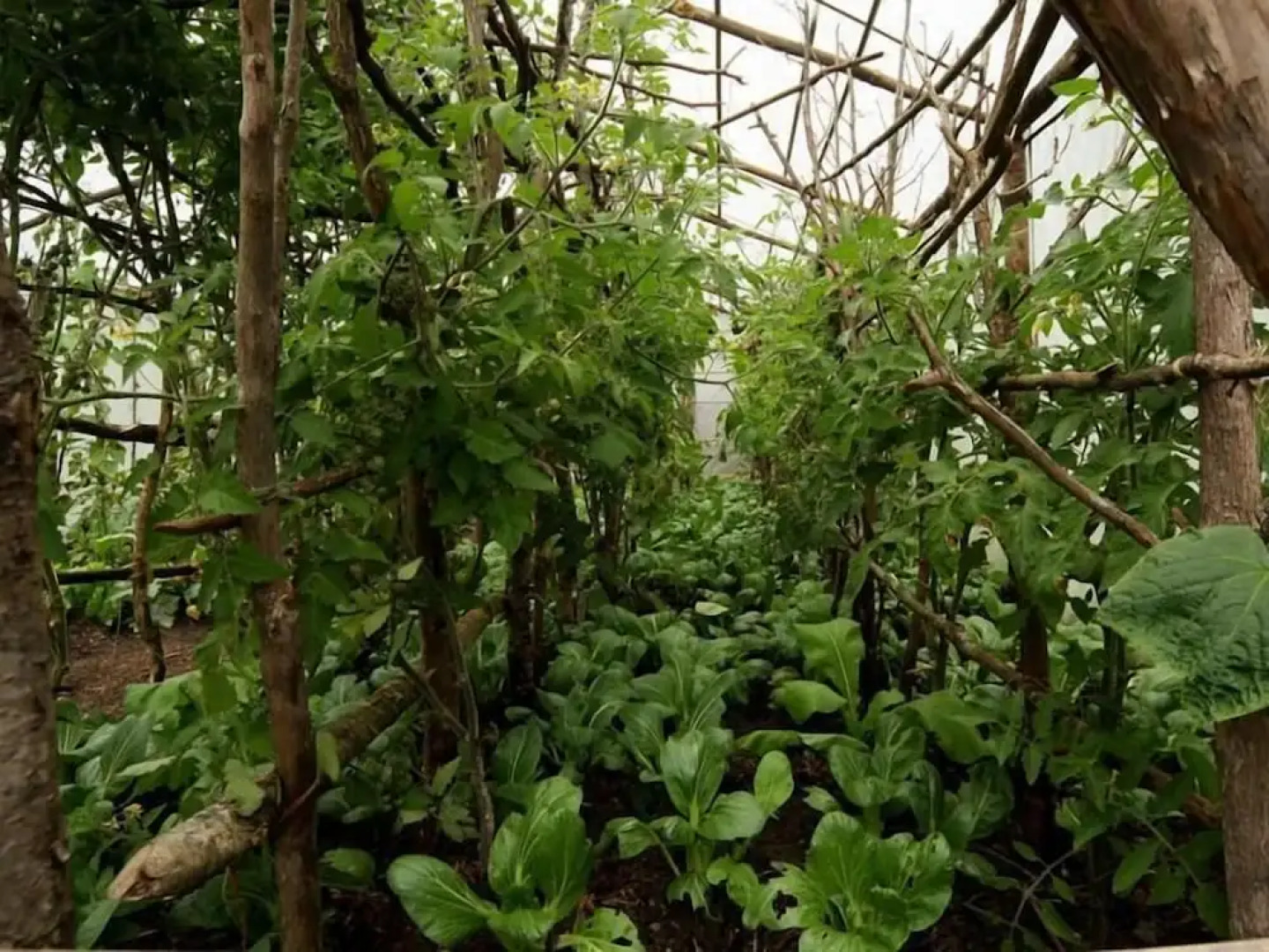 Mountain Lodges of Nepal - Phakding