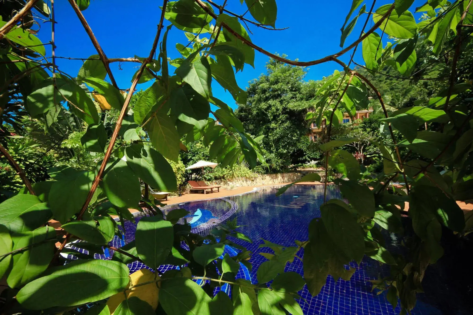 Spring Valley Resort