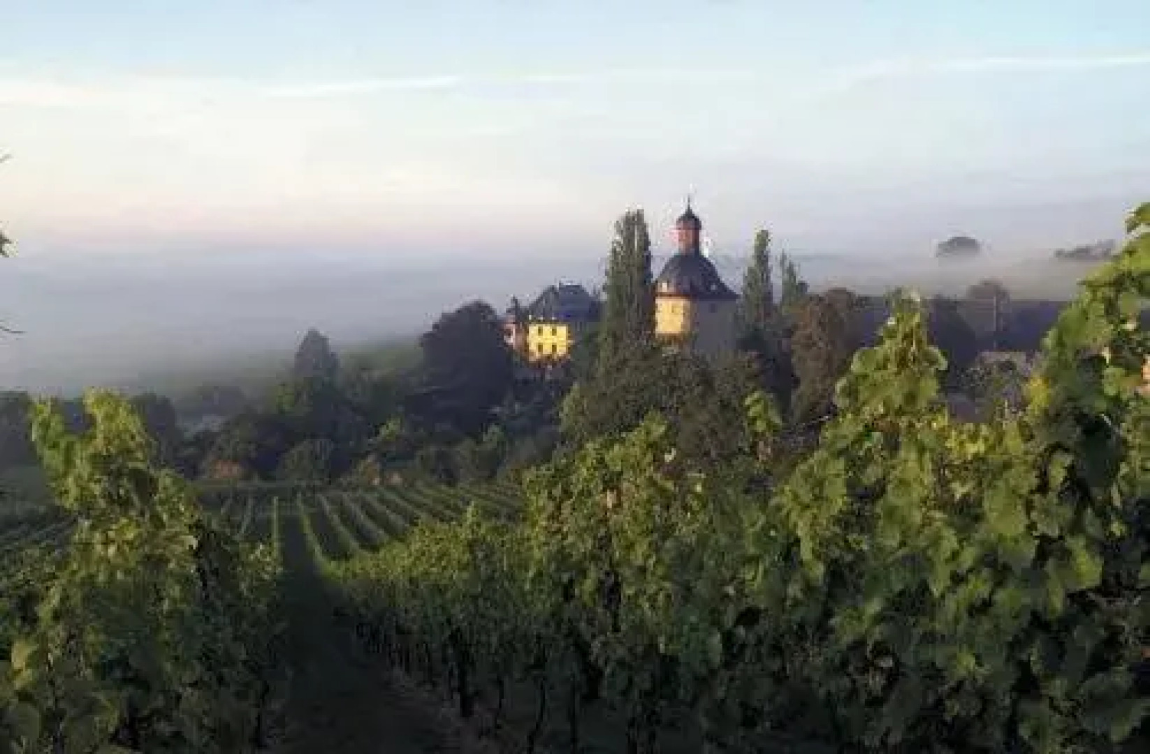 Parkhotel Schlangenbad