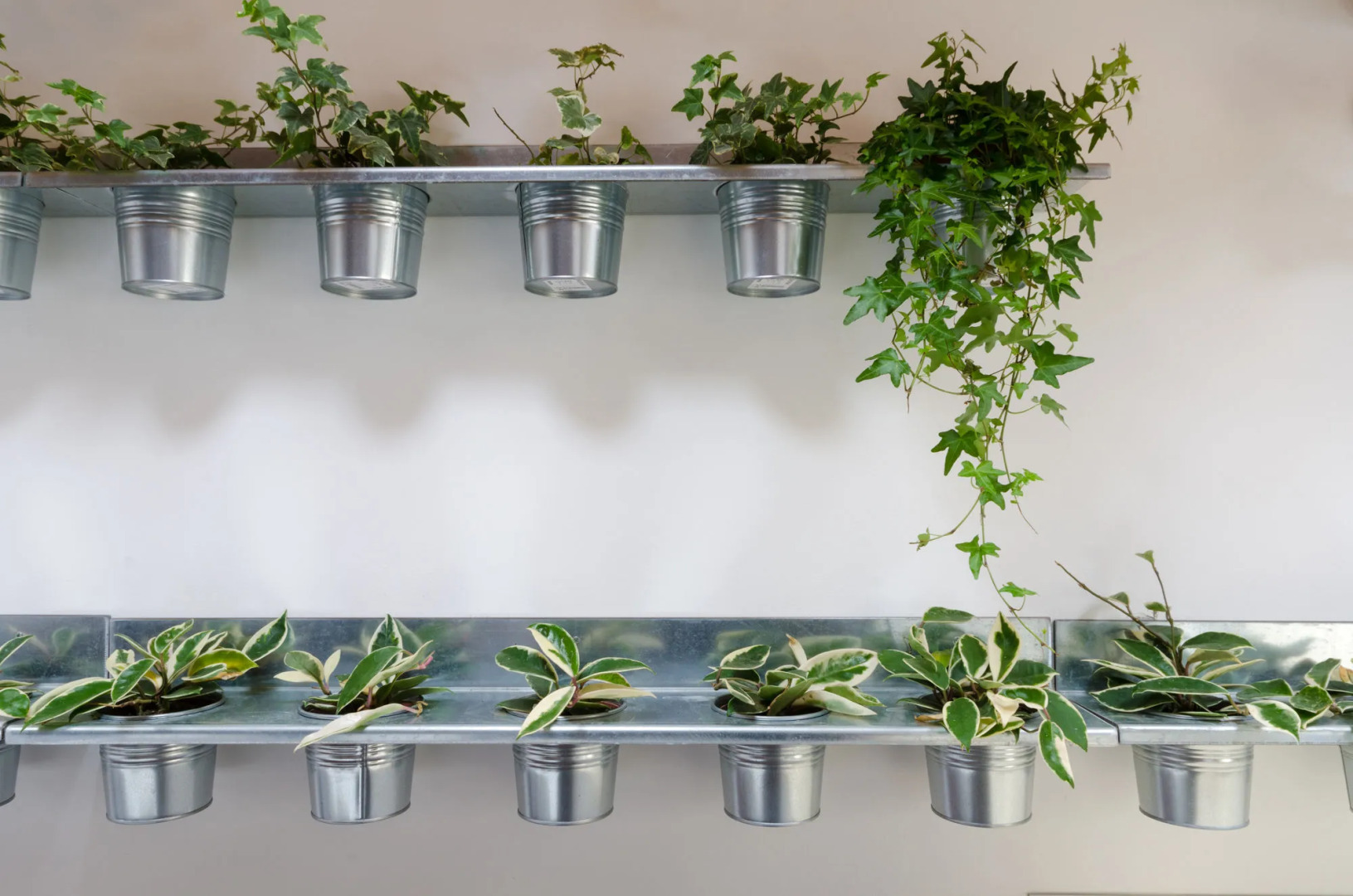 Pietranera Apartments