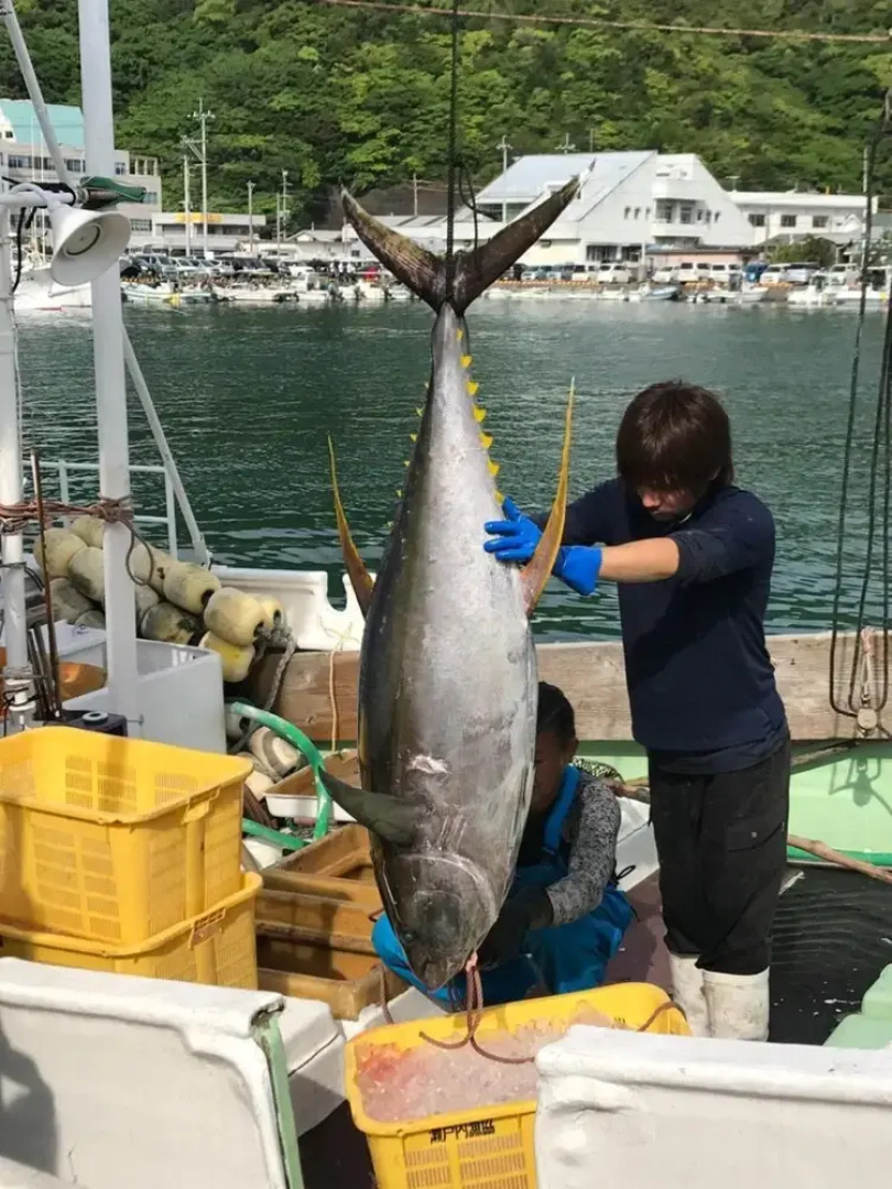 GUESTHOUSE minami - Hostel