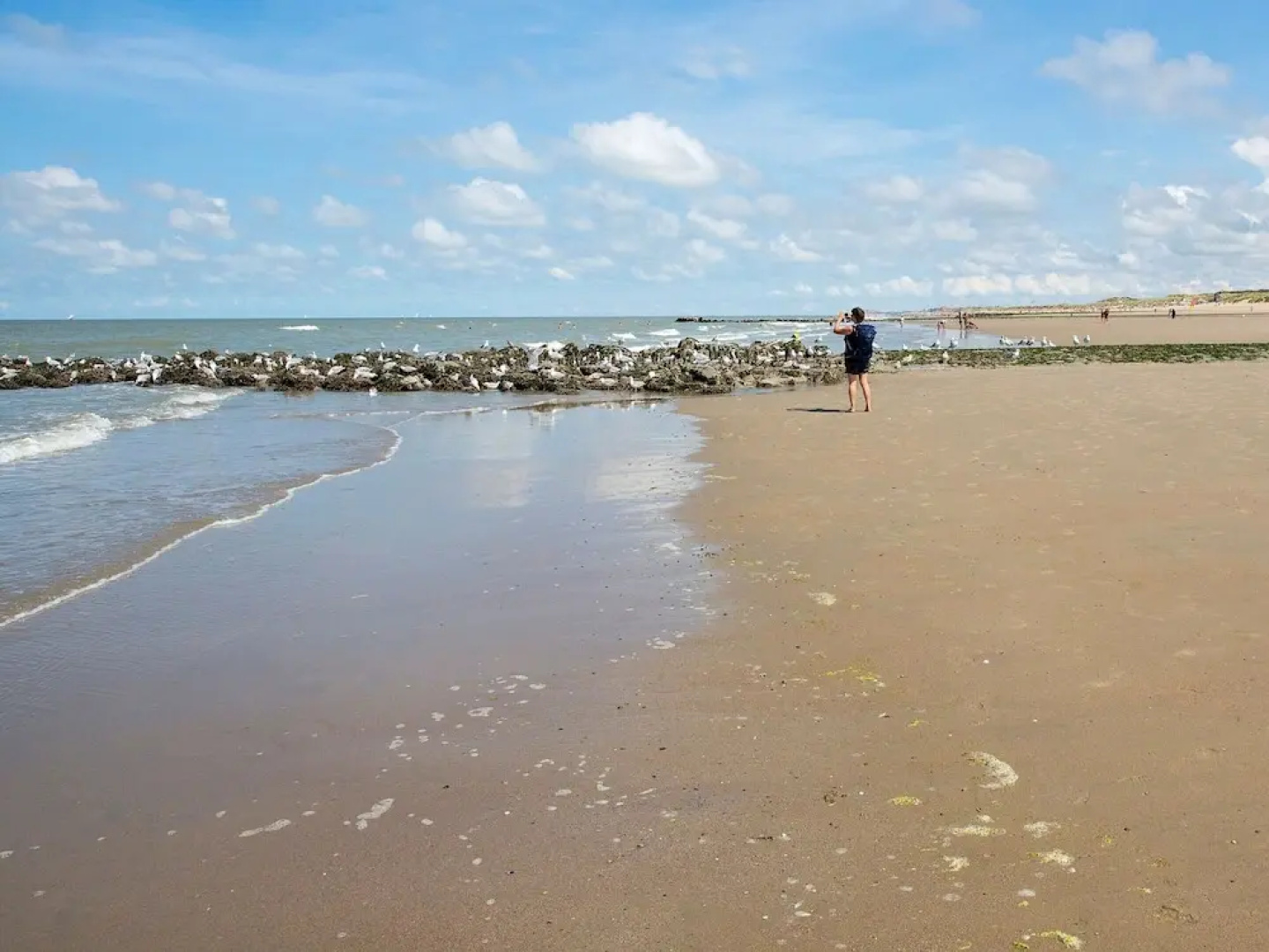 Villa, two Bathrooms and a Washing Machine, Near Ostend