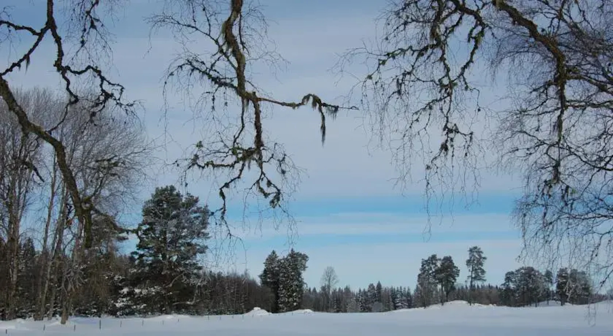 B & B Sandhem, Solhästen