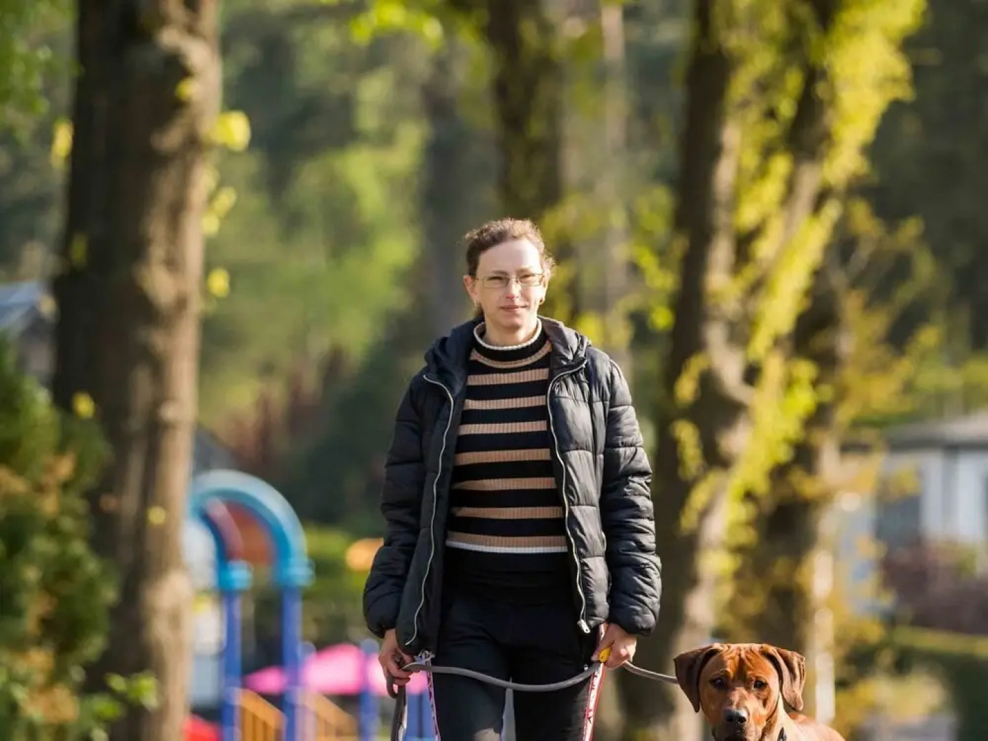 Modern chalet with a dishwasher, located in Park De Veluwe