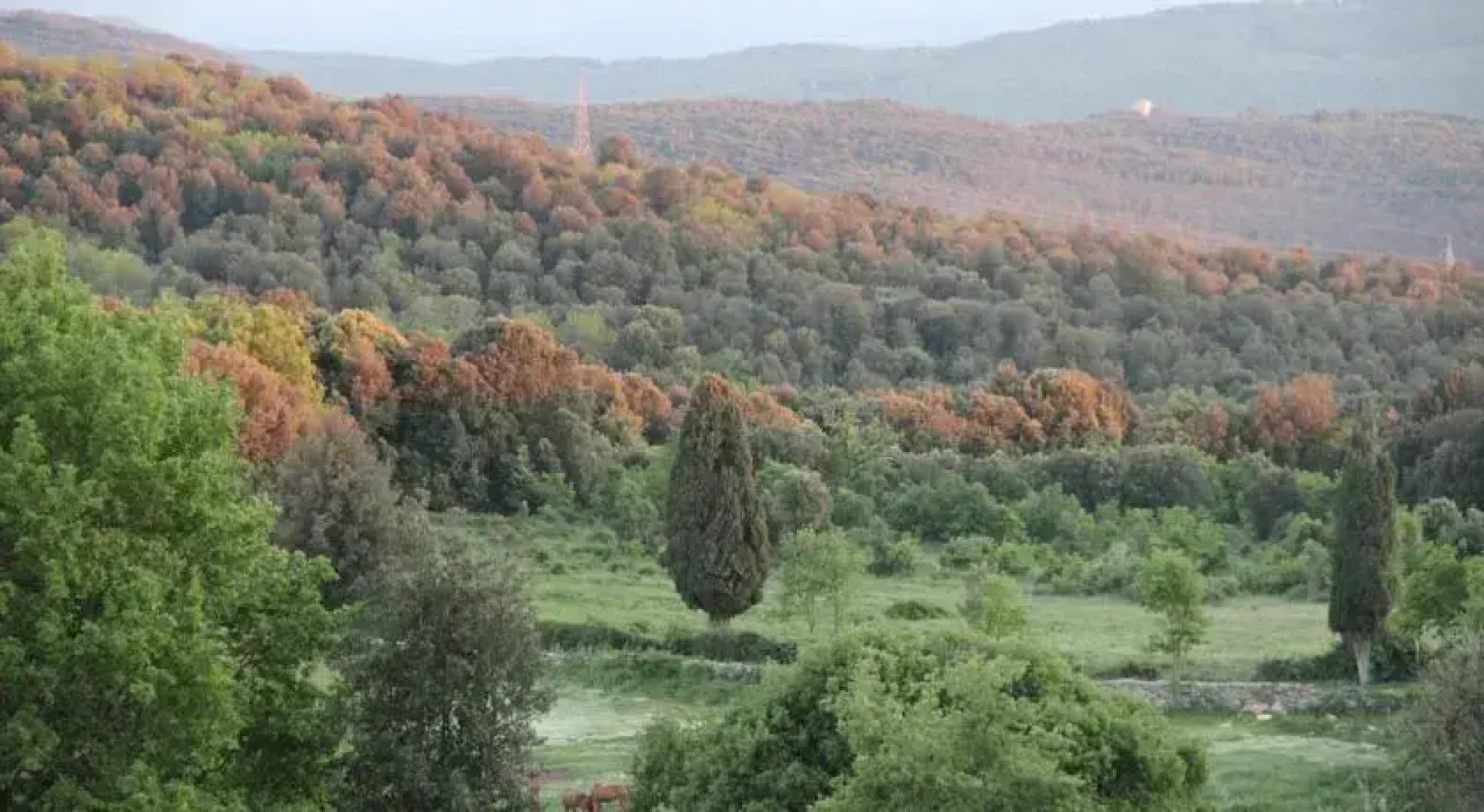 Agriturismo Poggio ai Legni
