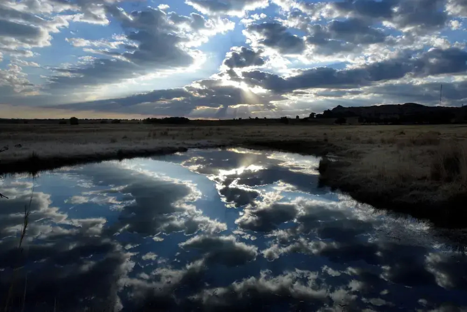 LIONSROCK Big Cat Sanctuary