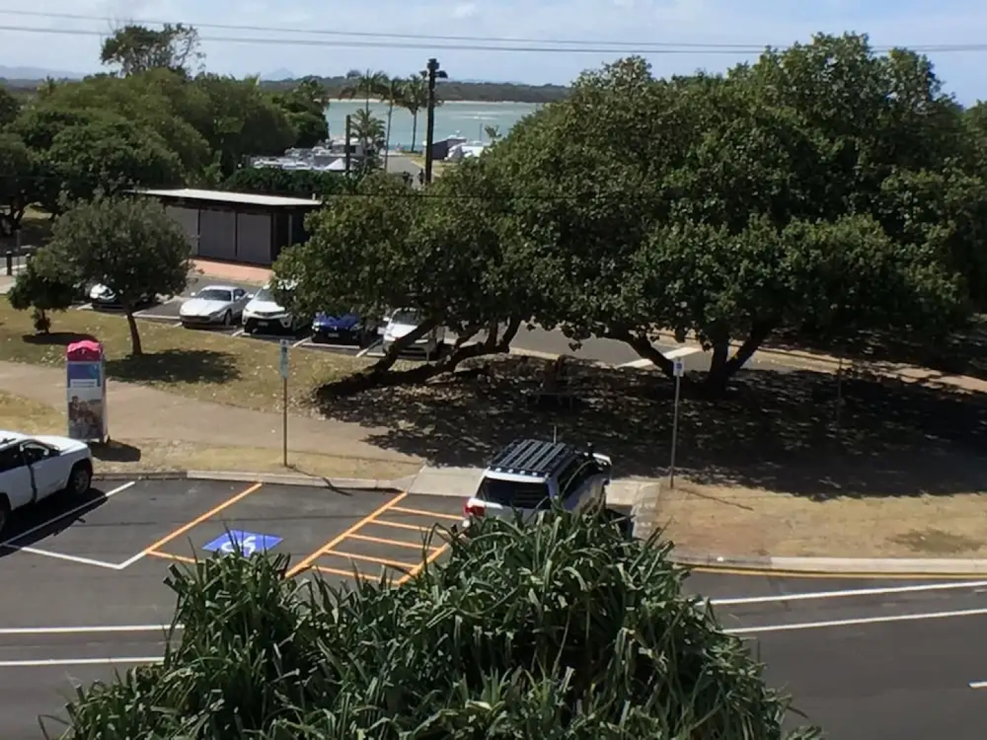 The Dunes Cotton Tree