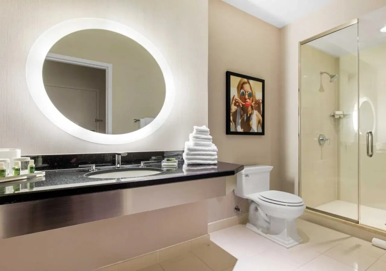 The Chicago Hotel Collection Magnificent Mile Hotel & Suites 