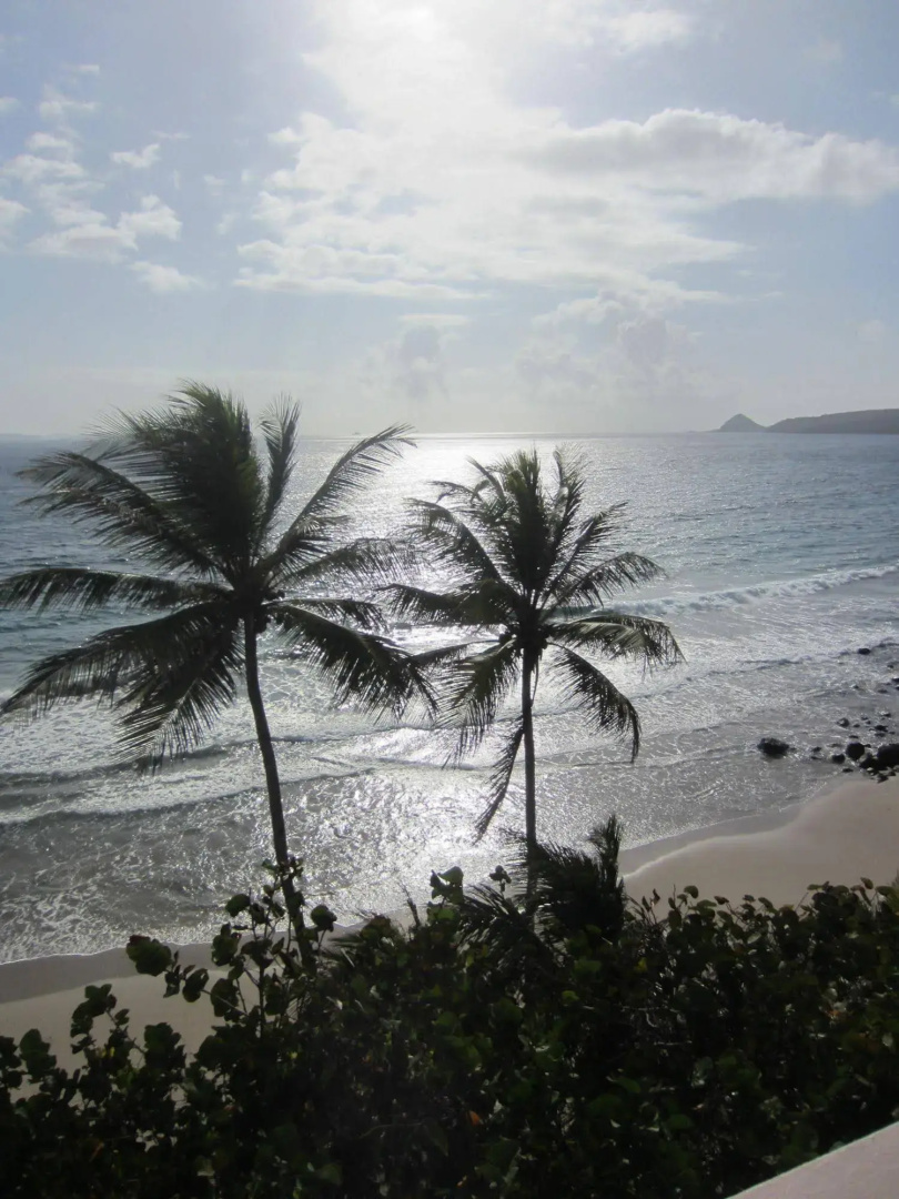Petite Anse Hotel