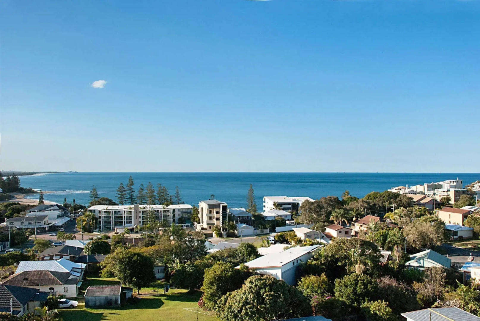 Norfolks on Moffat Beach