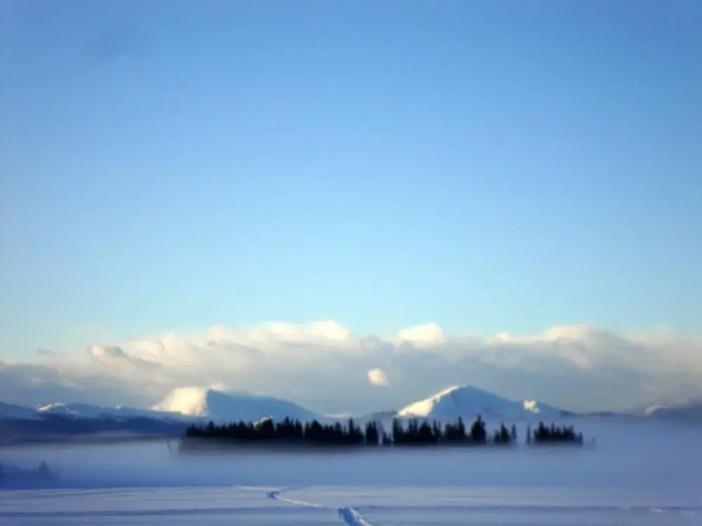 Retreat Wilderness Inn