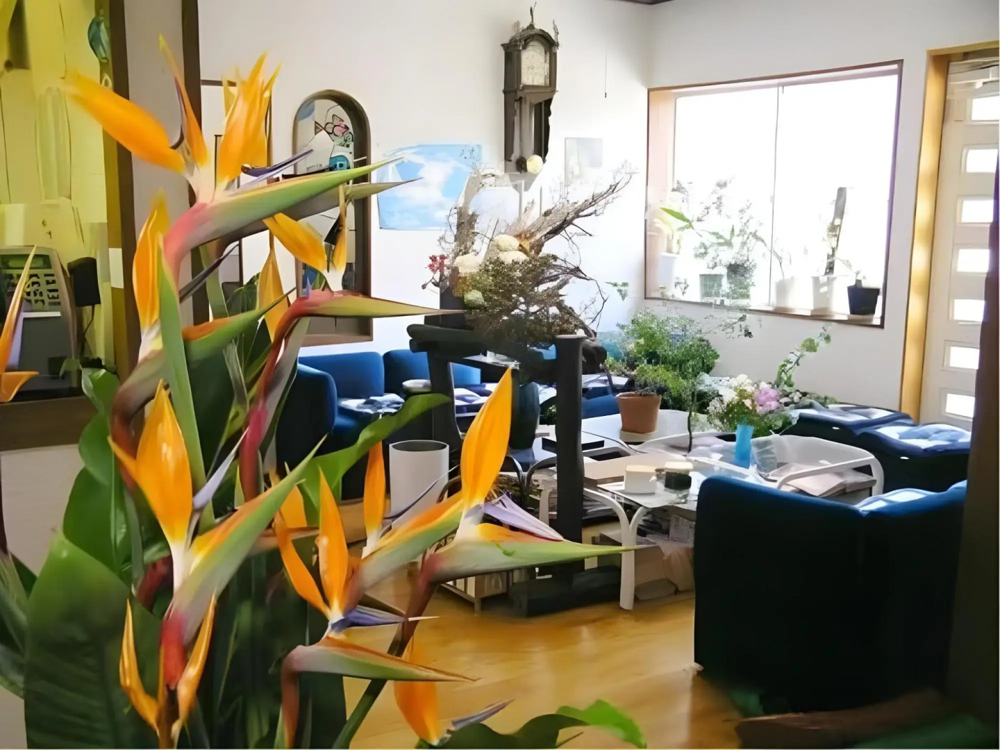 Pension Blue Marlin (Hachijojima)