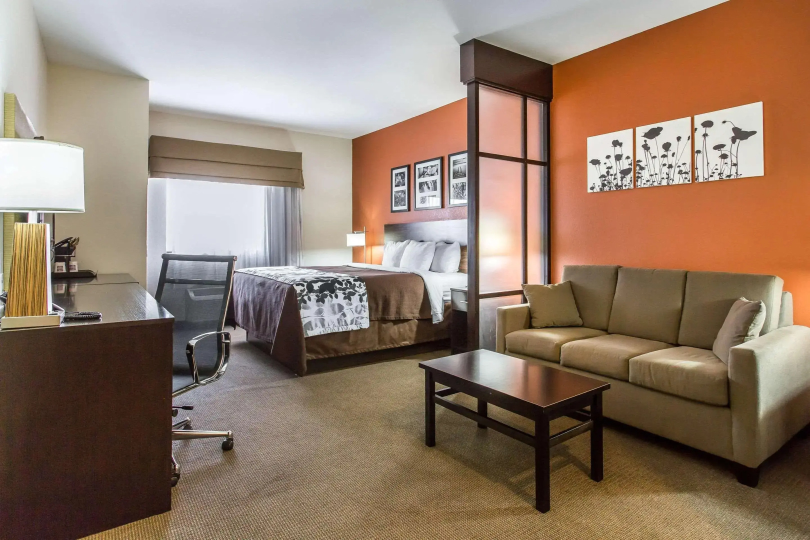 Sleep Inn & Suites Lubbock West
