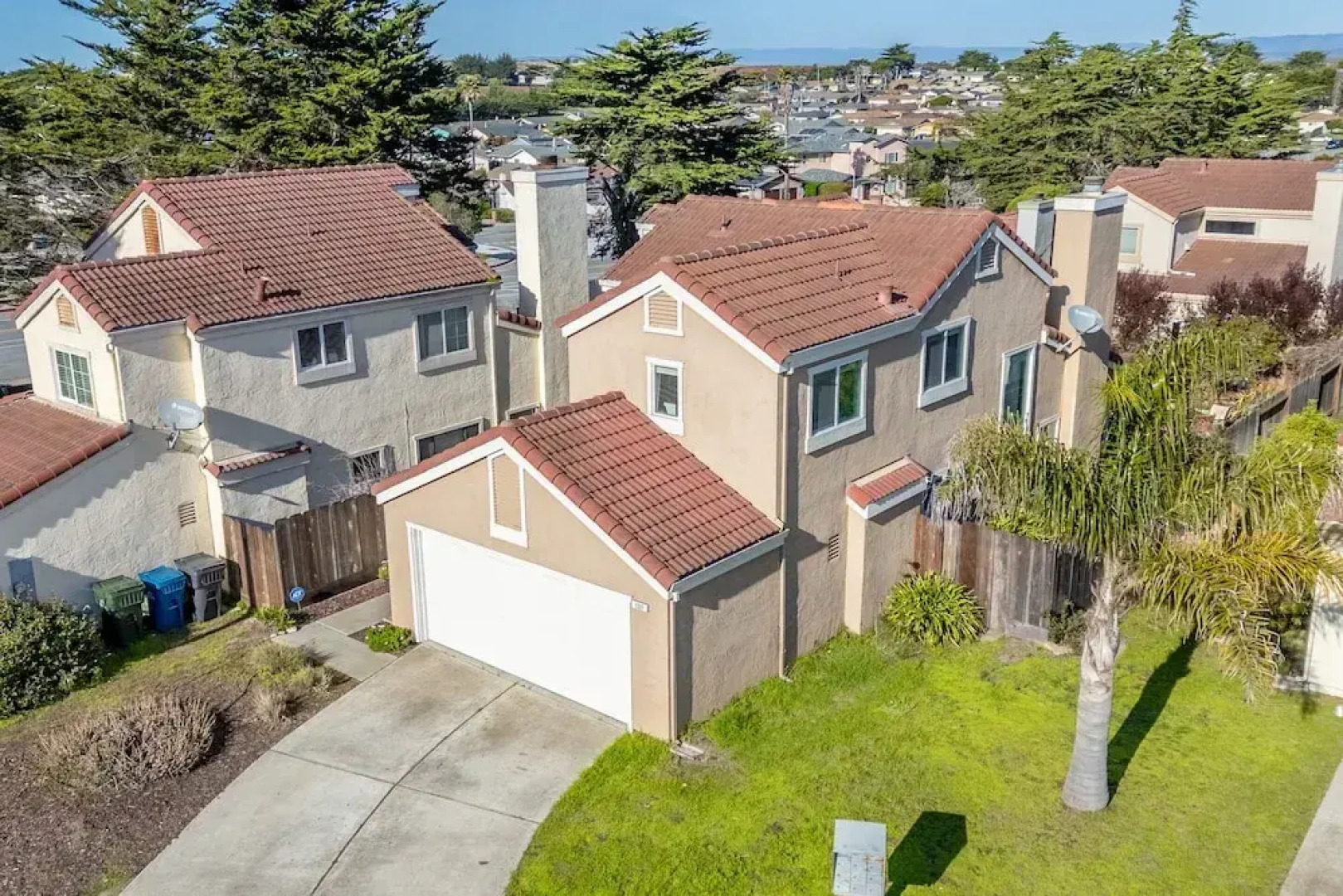 Succulents & Seashells Coastal Paradise by Beach