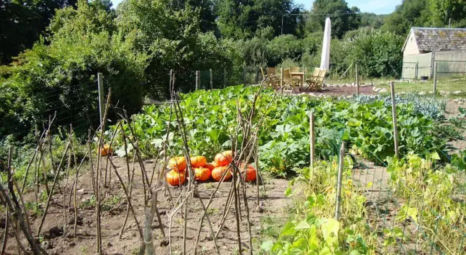 Trésor Etang de Cheix