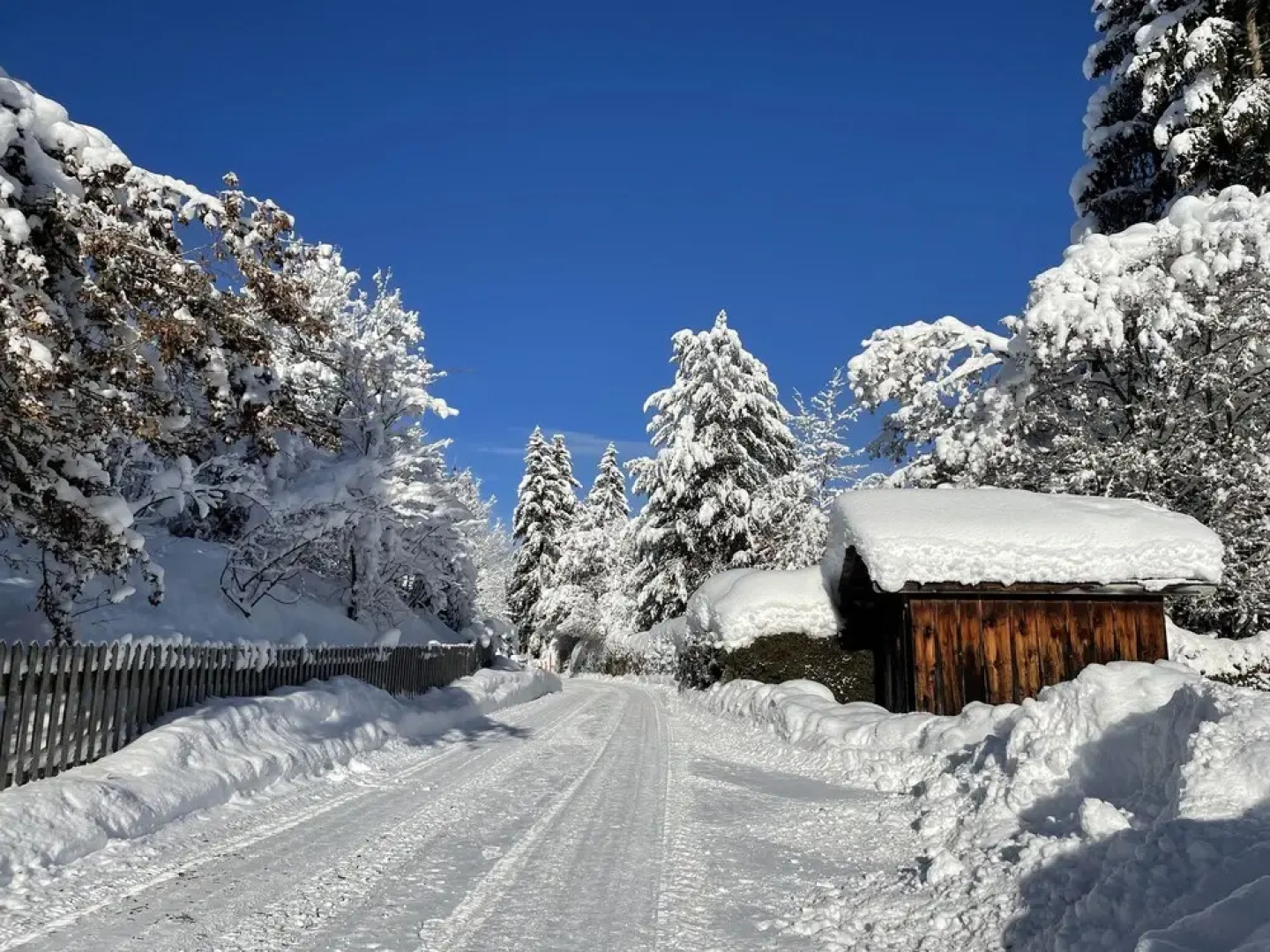 Alpenchalet Weidhaus
