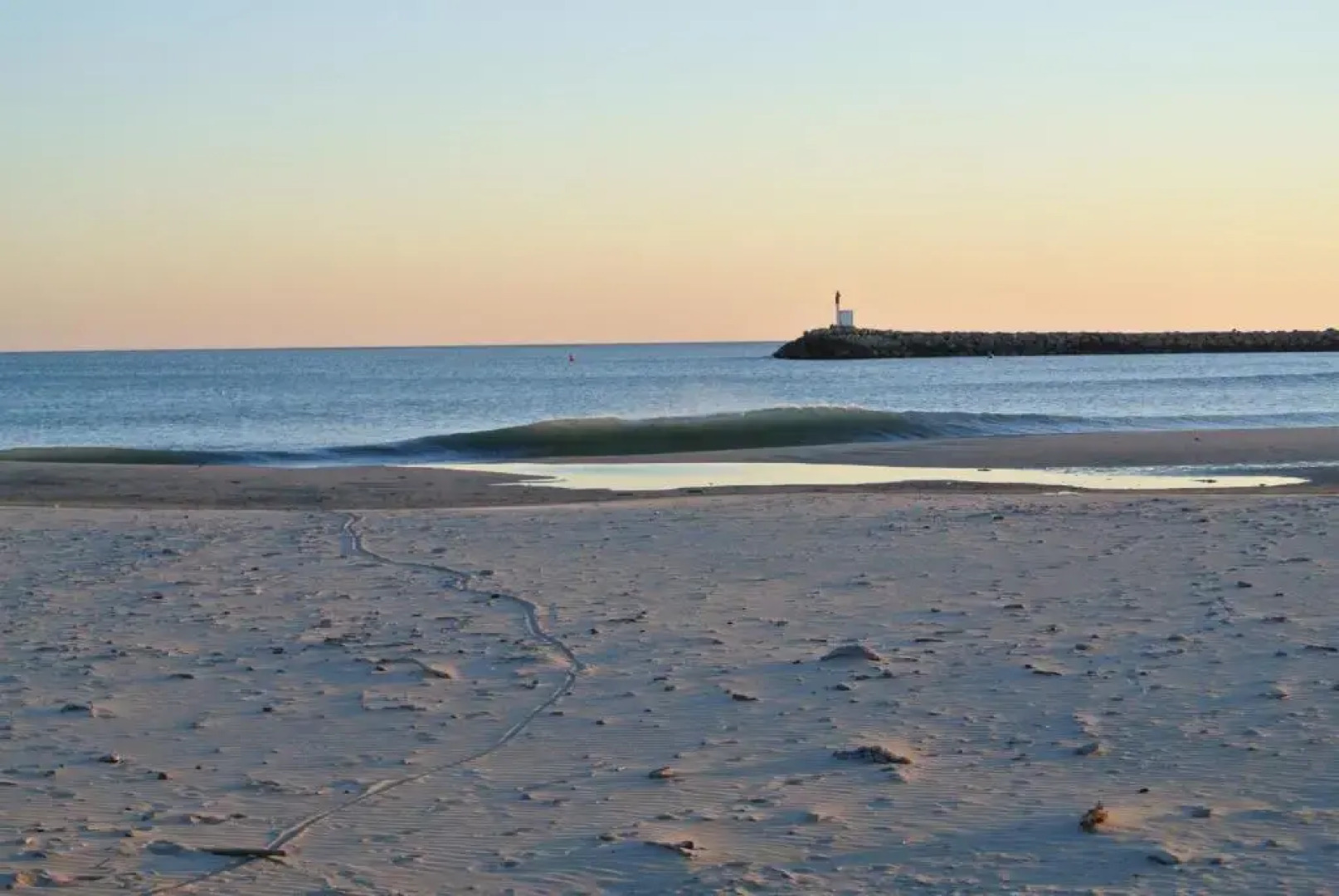 Hôtel Les Palmiers en Camargue
