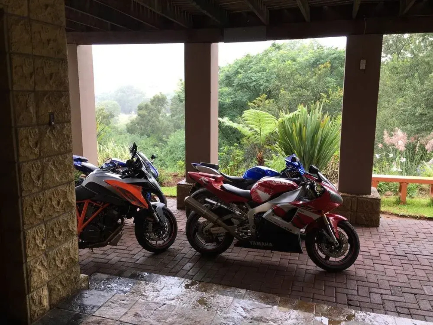 Forest View Guest house