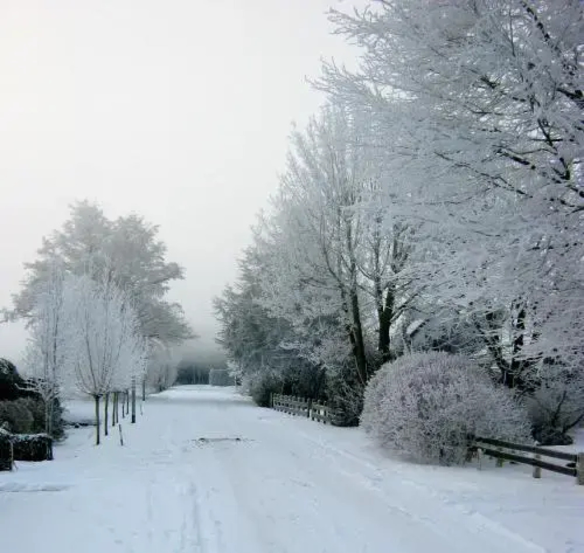 Bed & Breakfast Bij Janzen