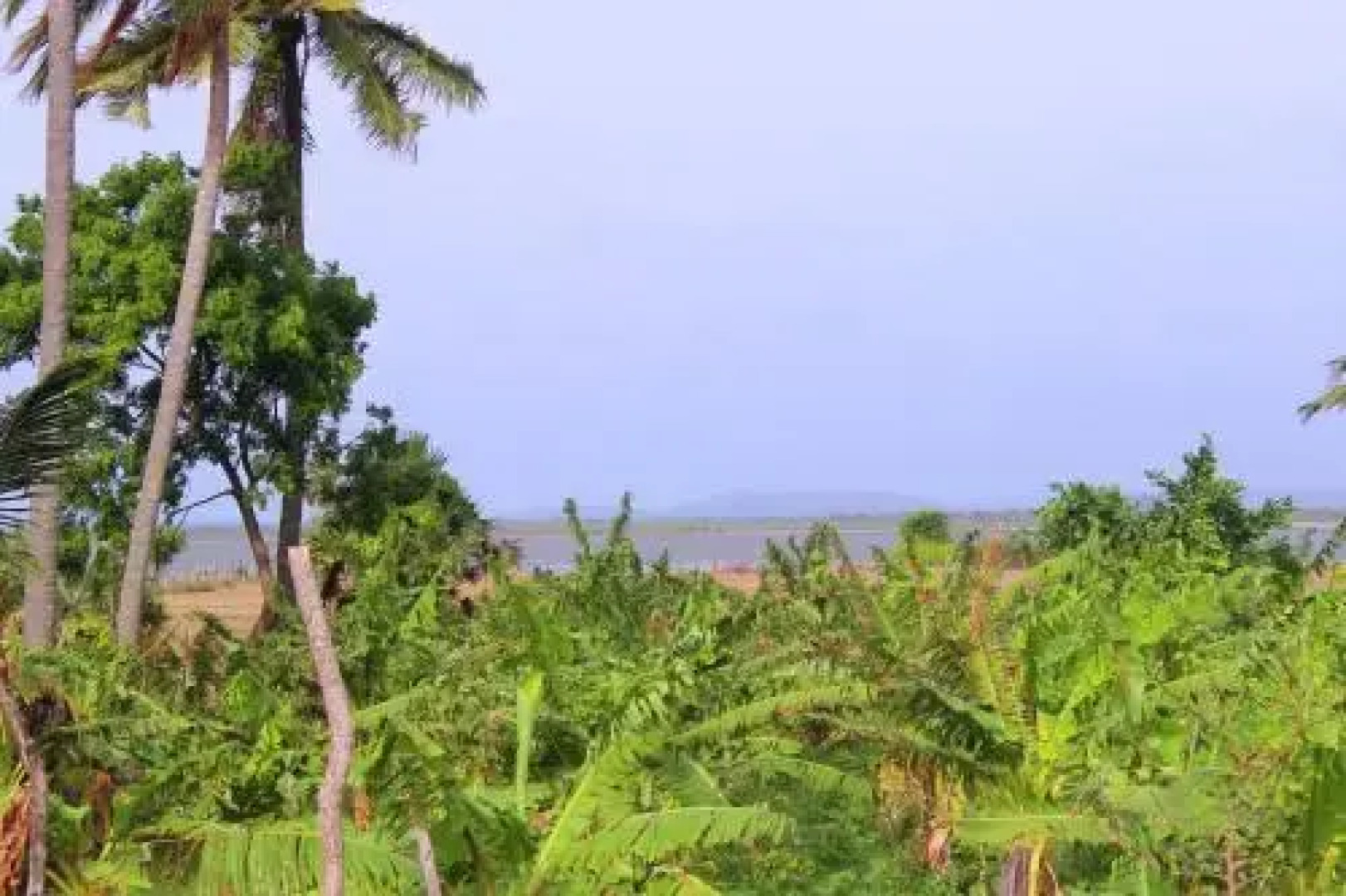 The Residence Nilaveli