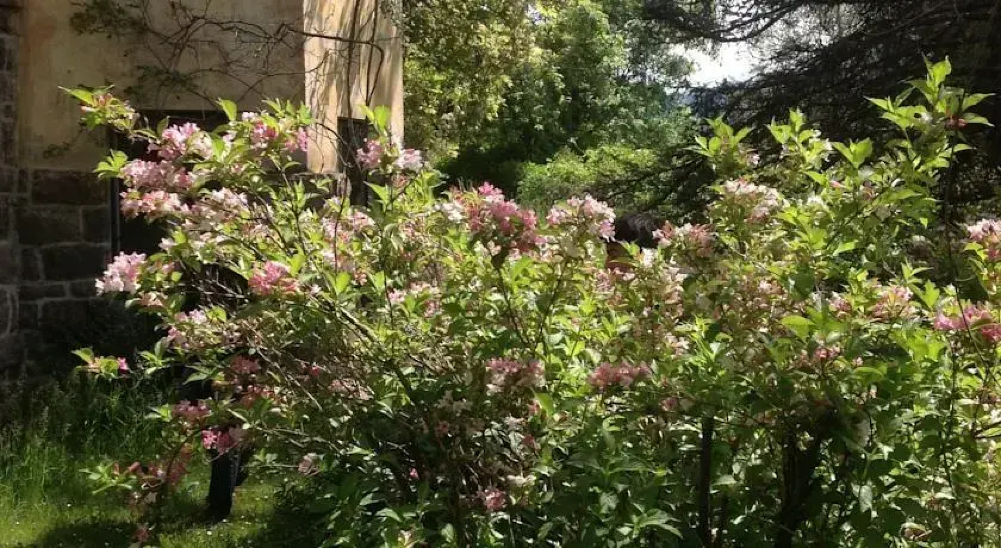 Appartamento via Pizzegoda