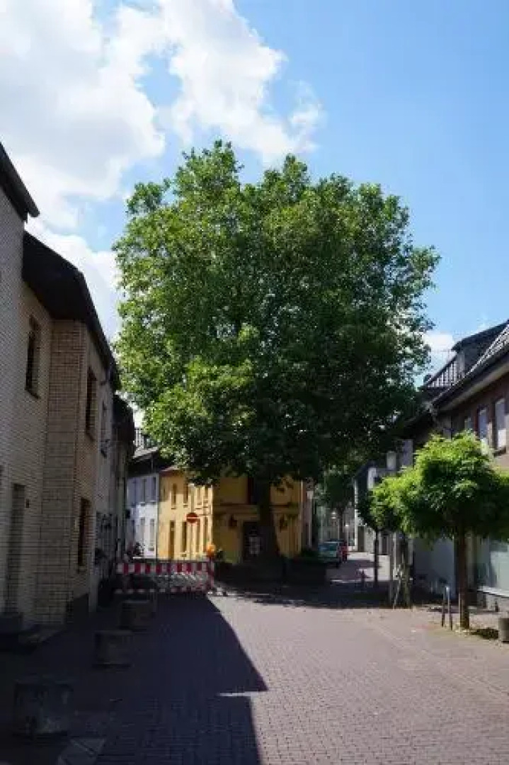 Ferienwohnung Haagedoernchen