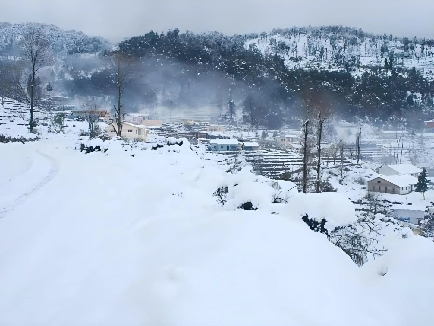 Goroomgo Pandey Lodge Munsiyari