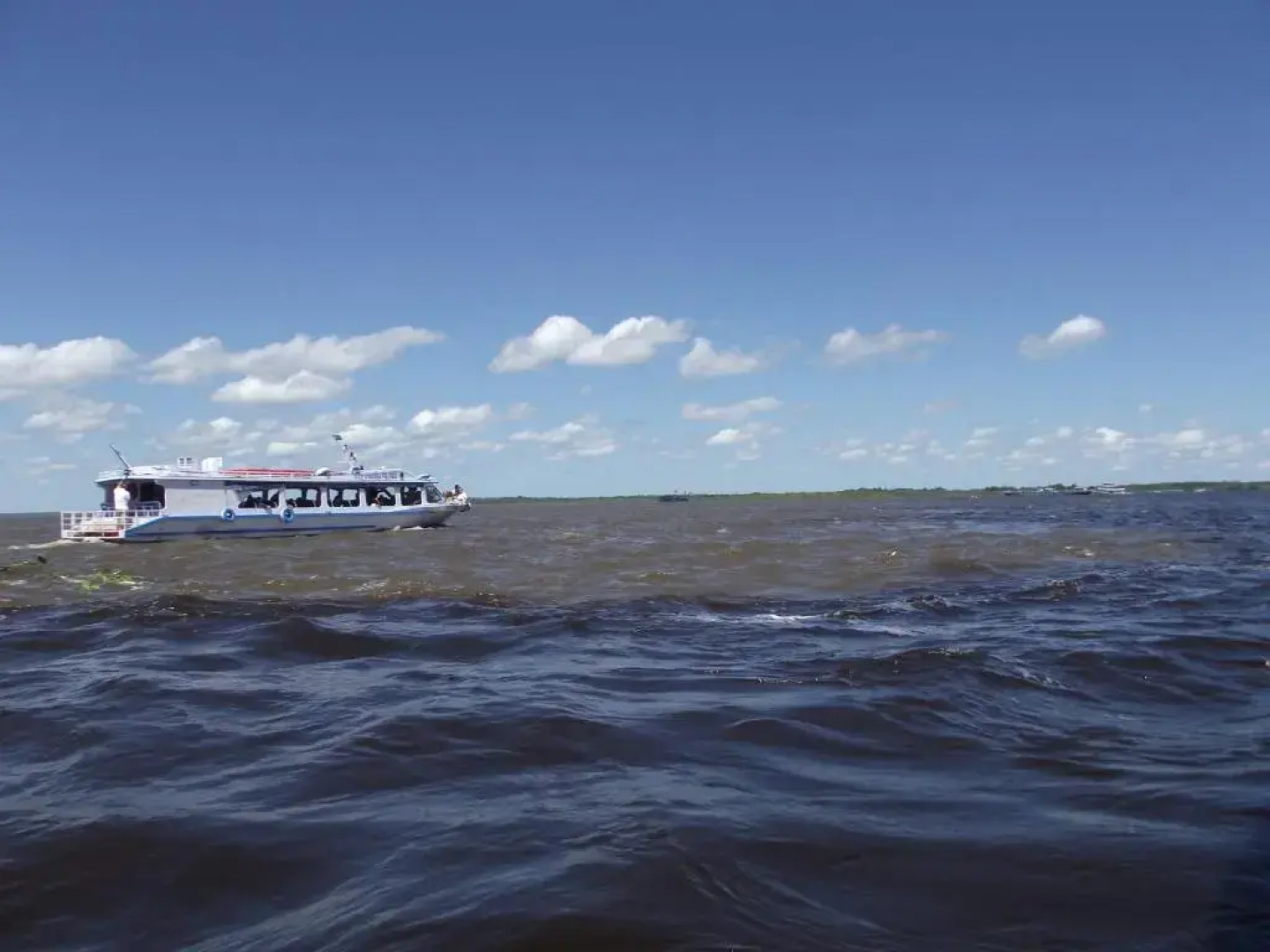 Amazon Arowana Lodge