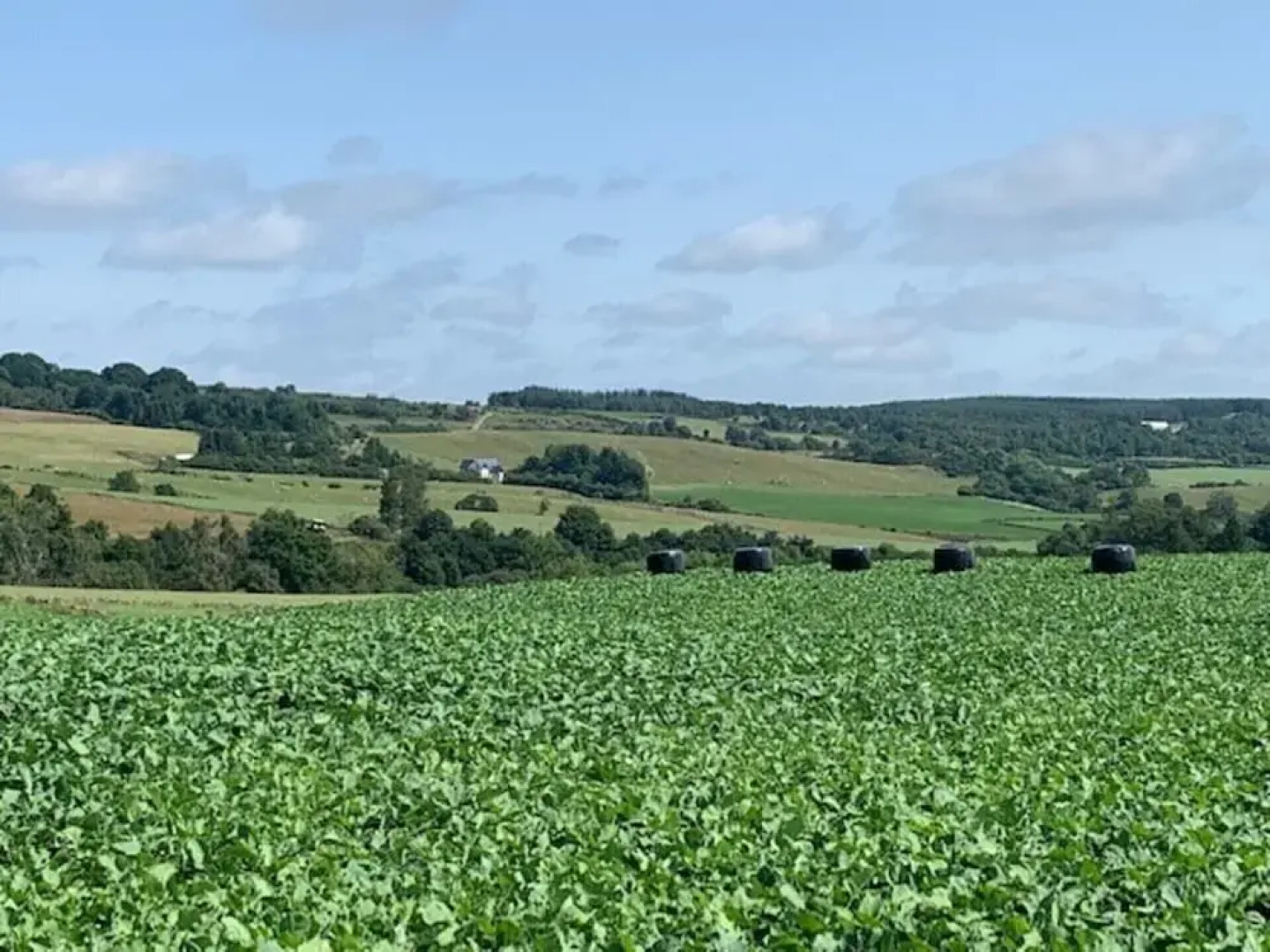 Traditional Bothy Accommodation