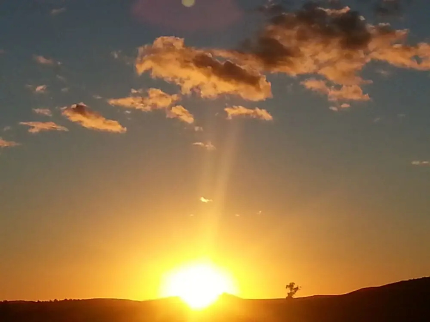 Alpine Stag Lodge House