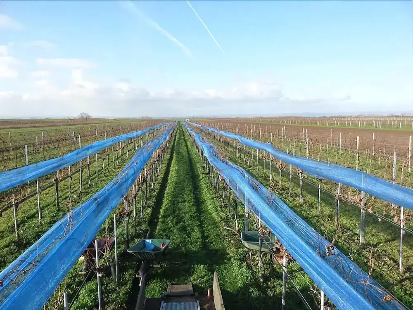 Hotel Weingut Rosenhof