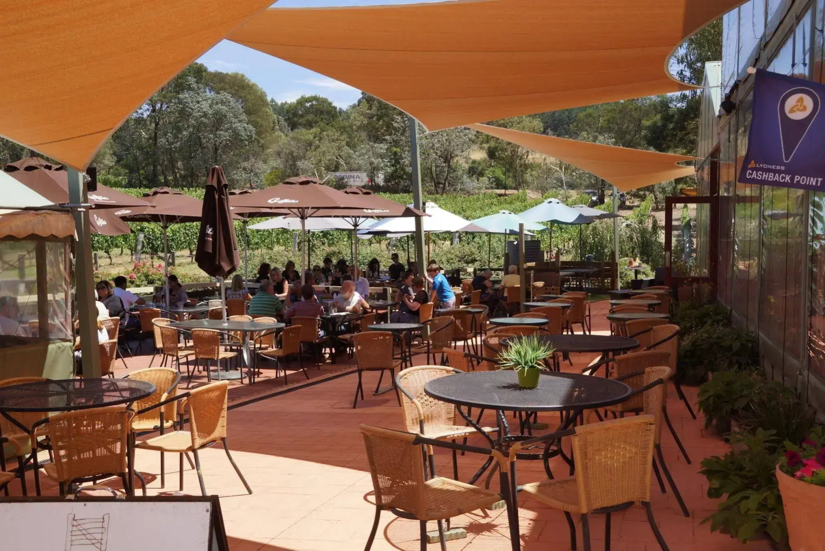 Gisborne Peak Winery Cottages