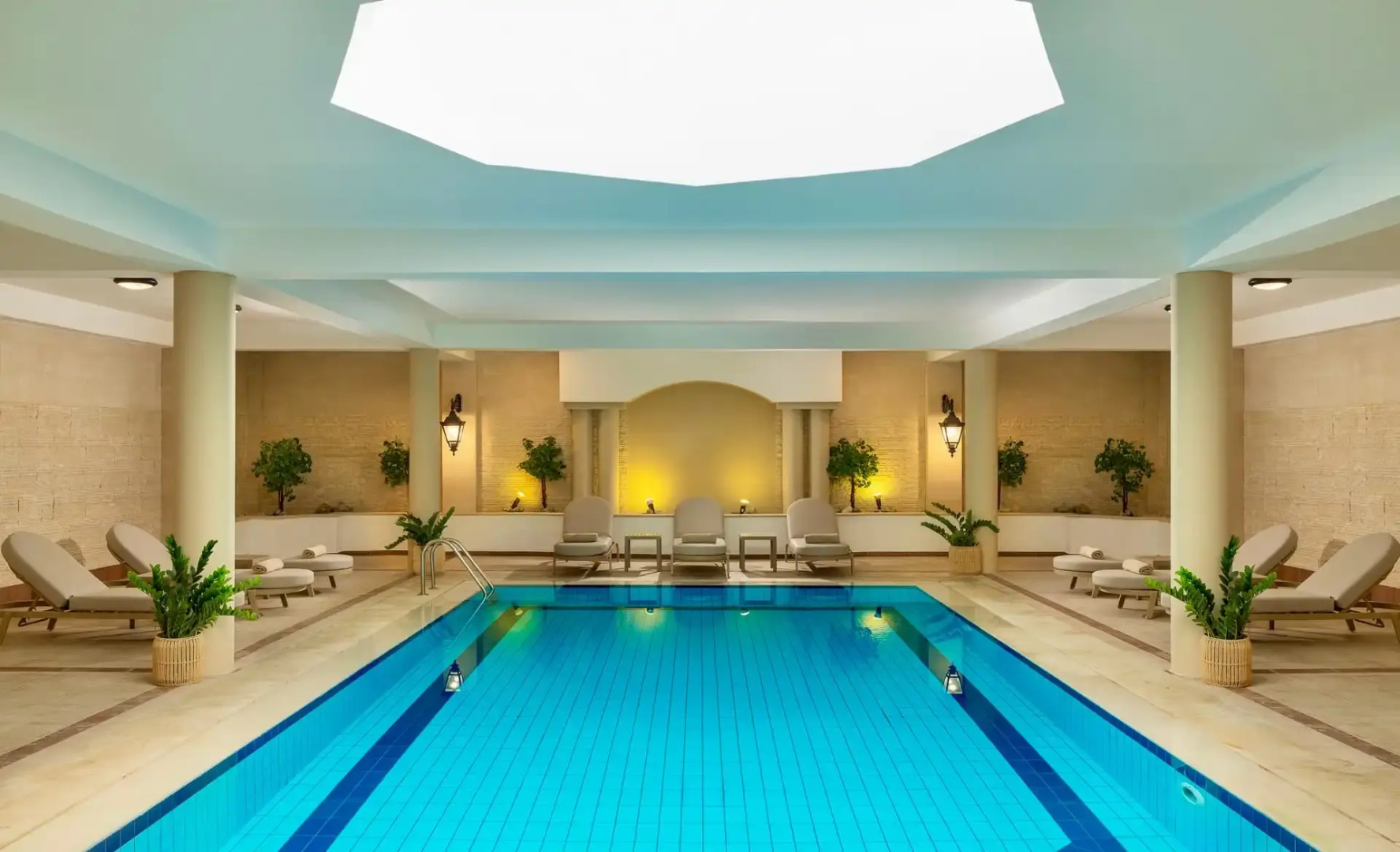 WellClub – Family Wellness Experience