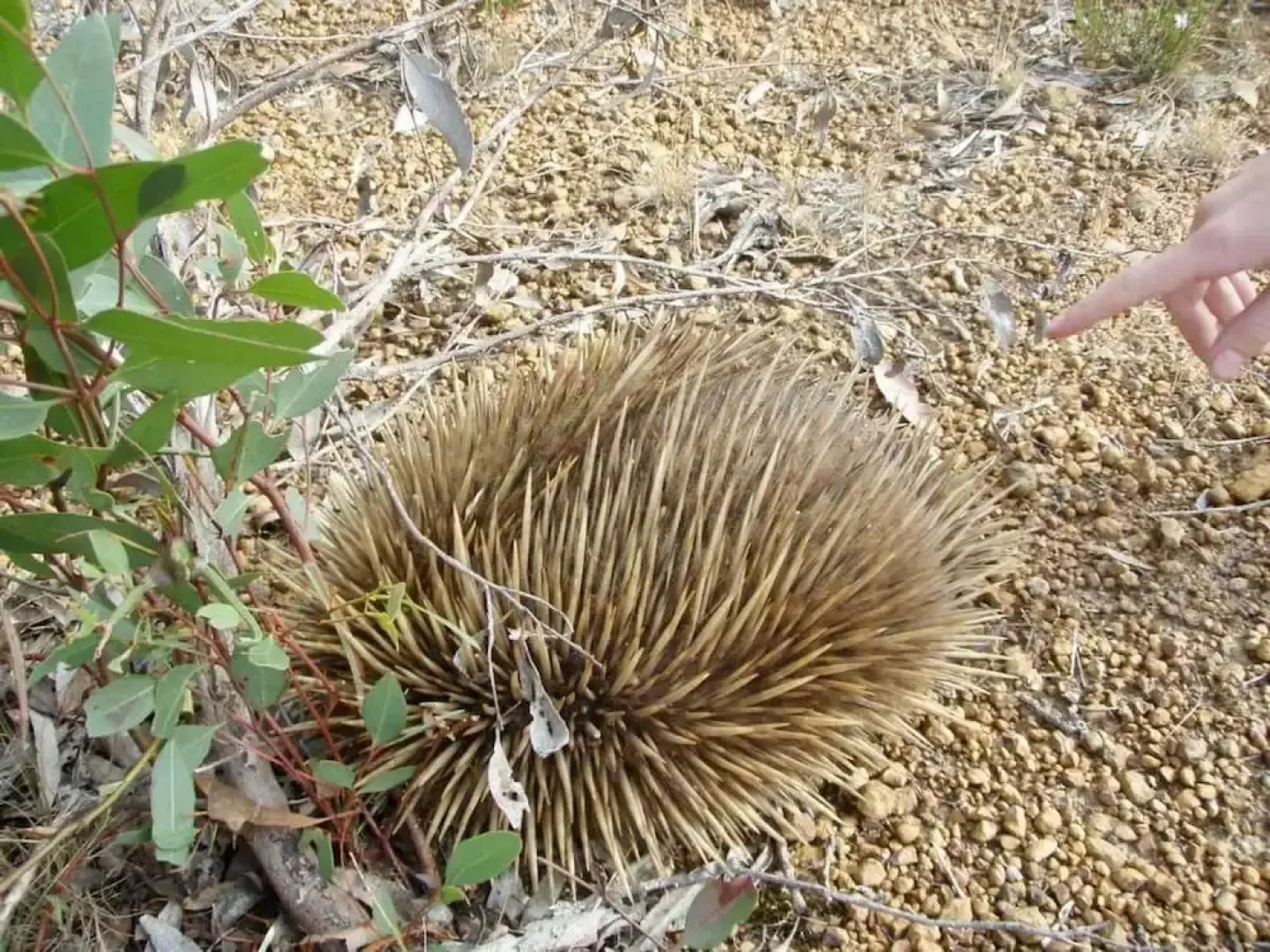 Unwind Kangaroo Island Dreaming