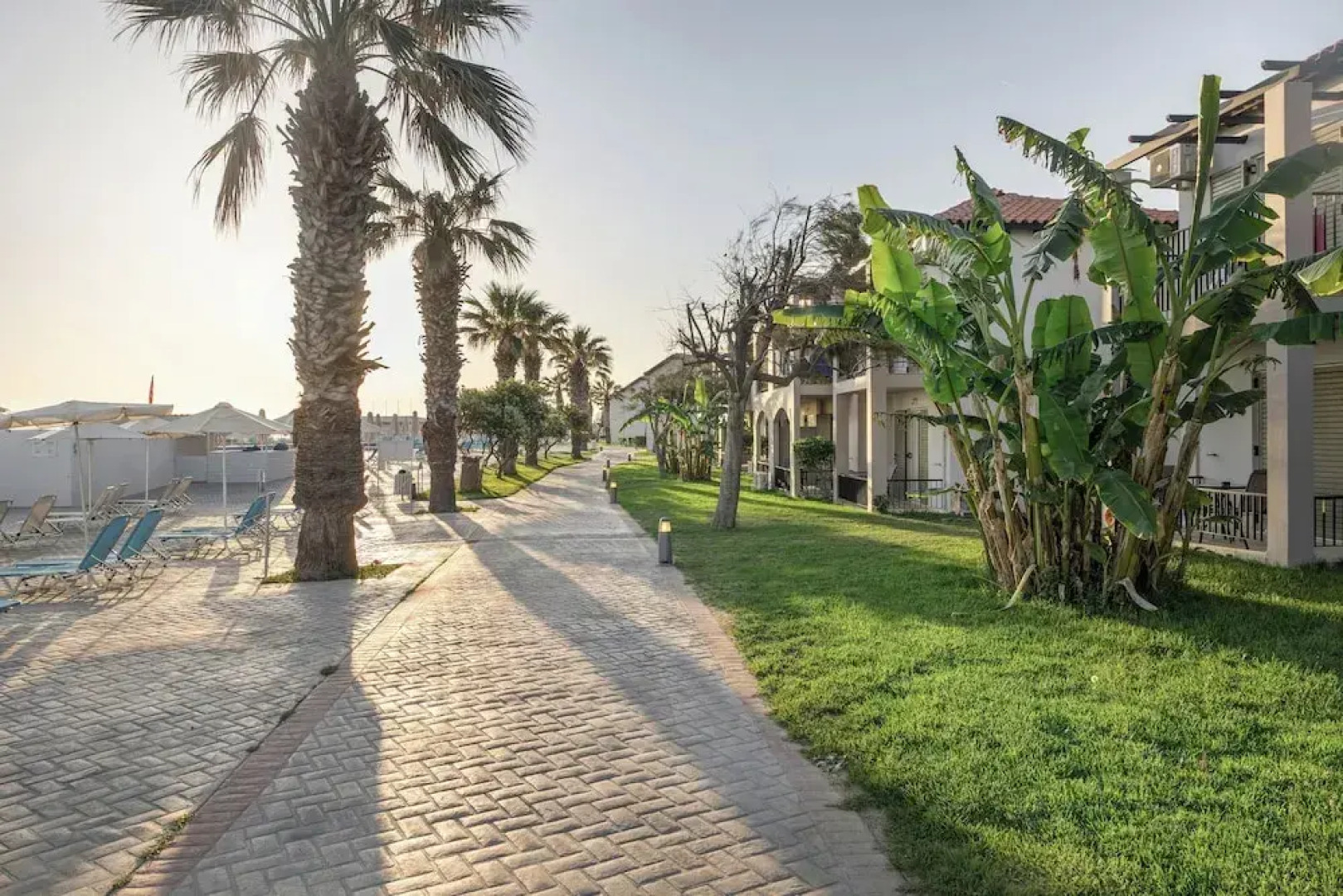 White Olive Marine Aquapark