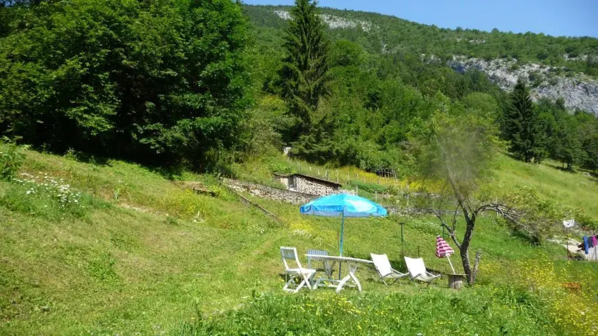 La Chouette à lheure du Pinson