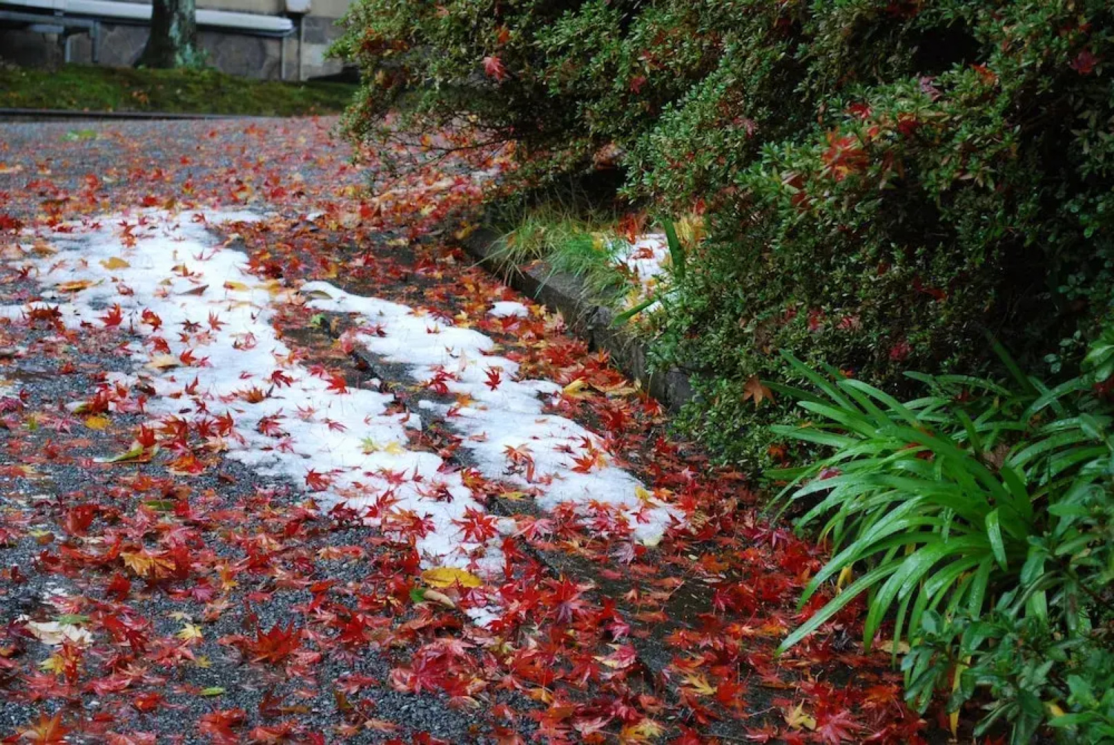 Yamashiro Onsen Midori no Yado Bansyoukaku