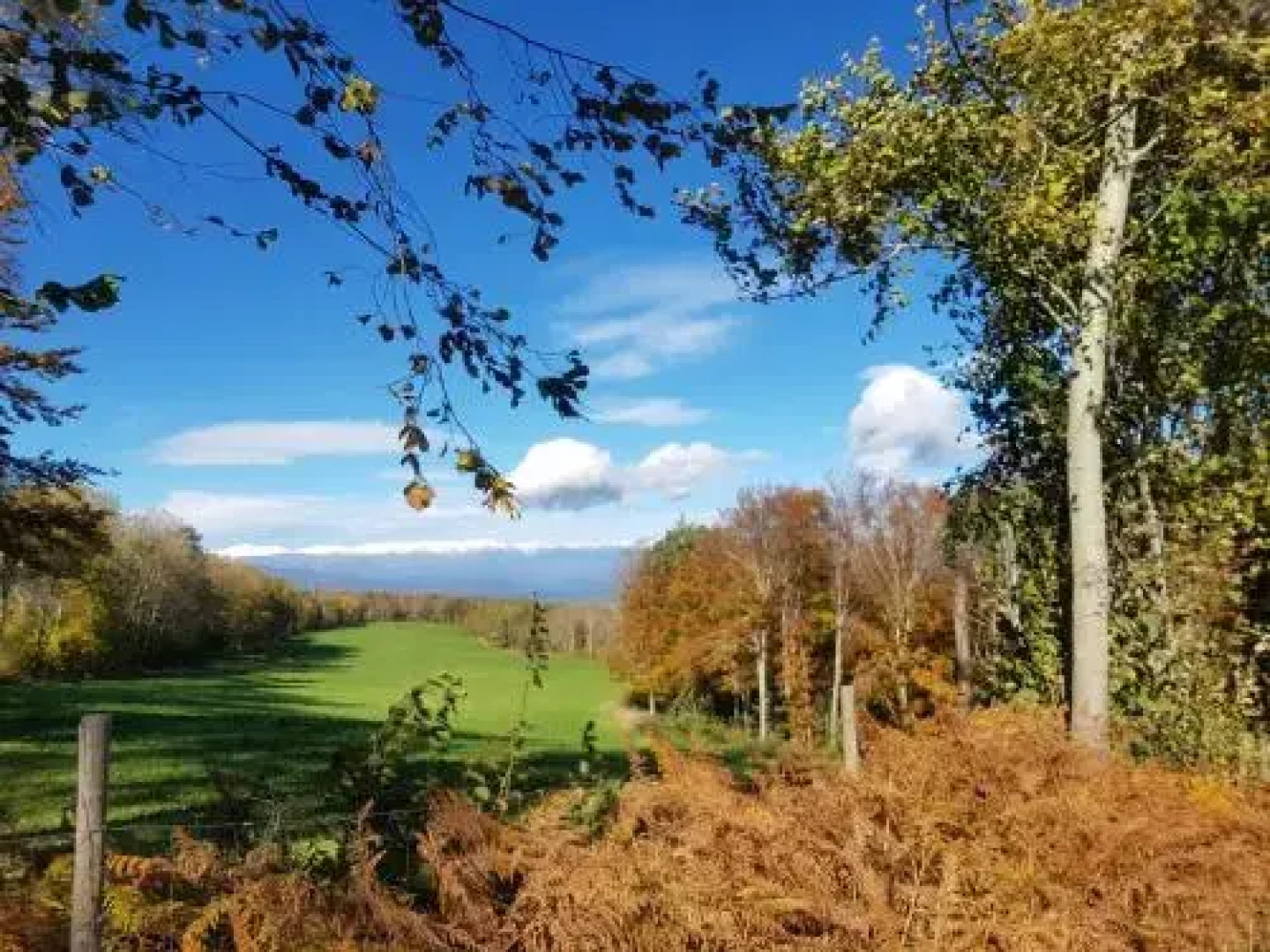 Santuari de la Salut de Sant Feliu de Pallerols