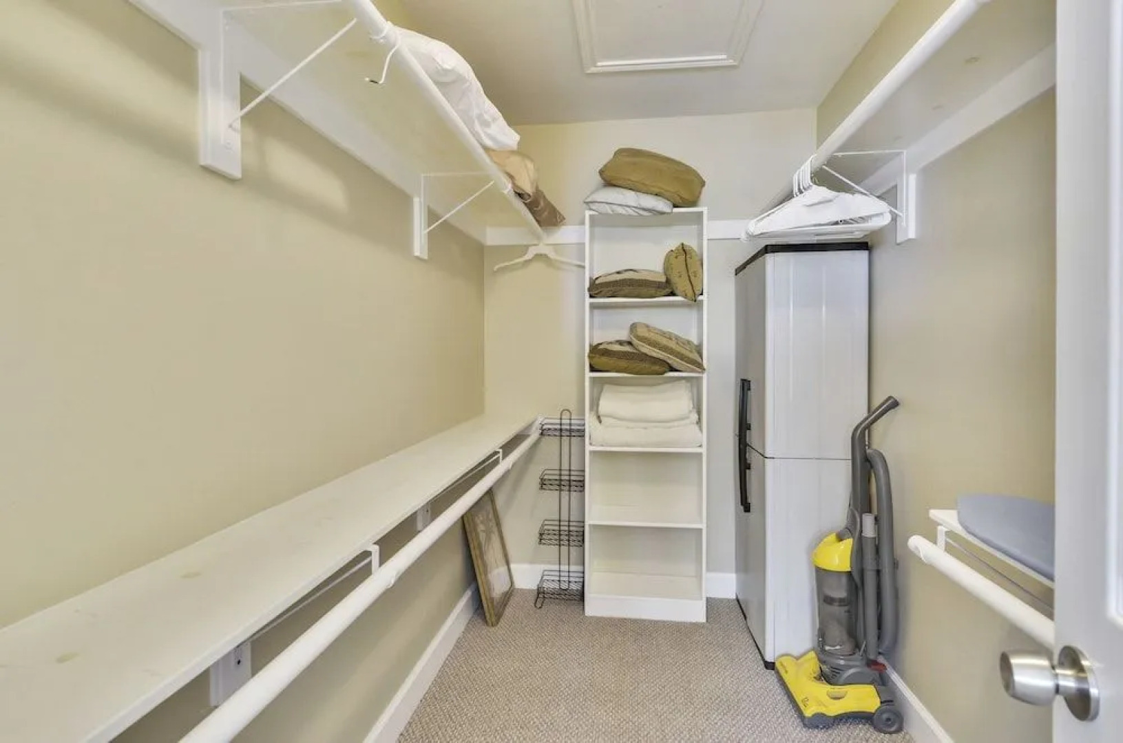 The Regal Seagull by RedAwning