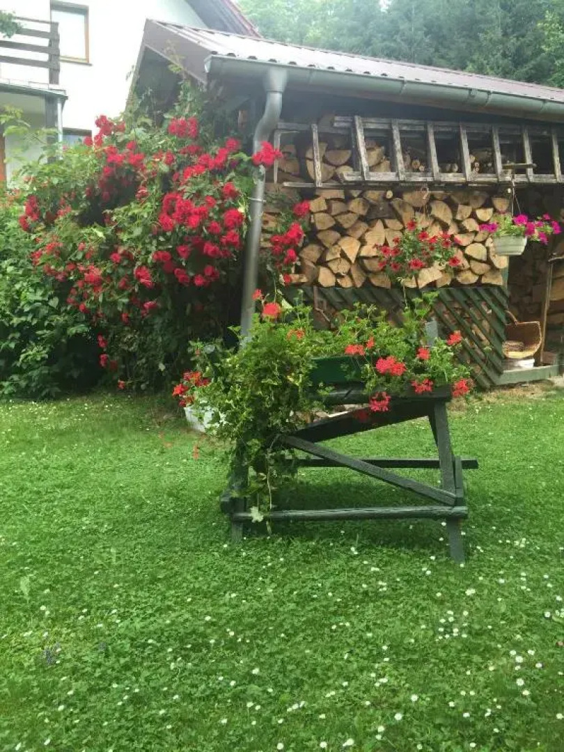 Noclegi pod kasztanem