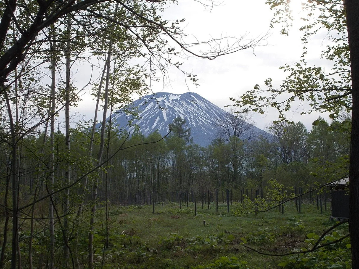 Niseko Shirokuma Cottage