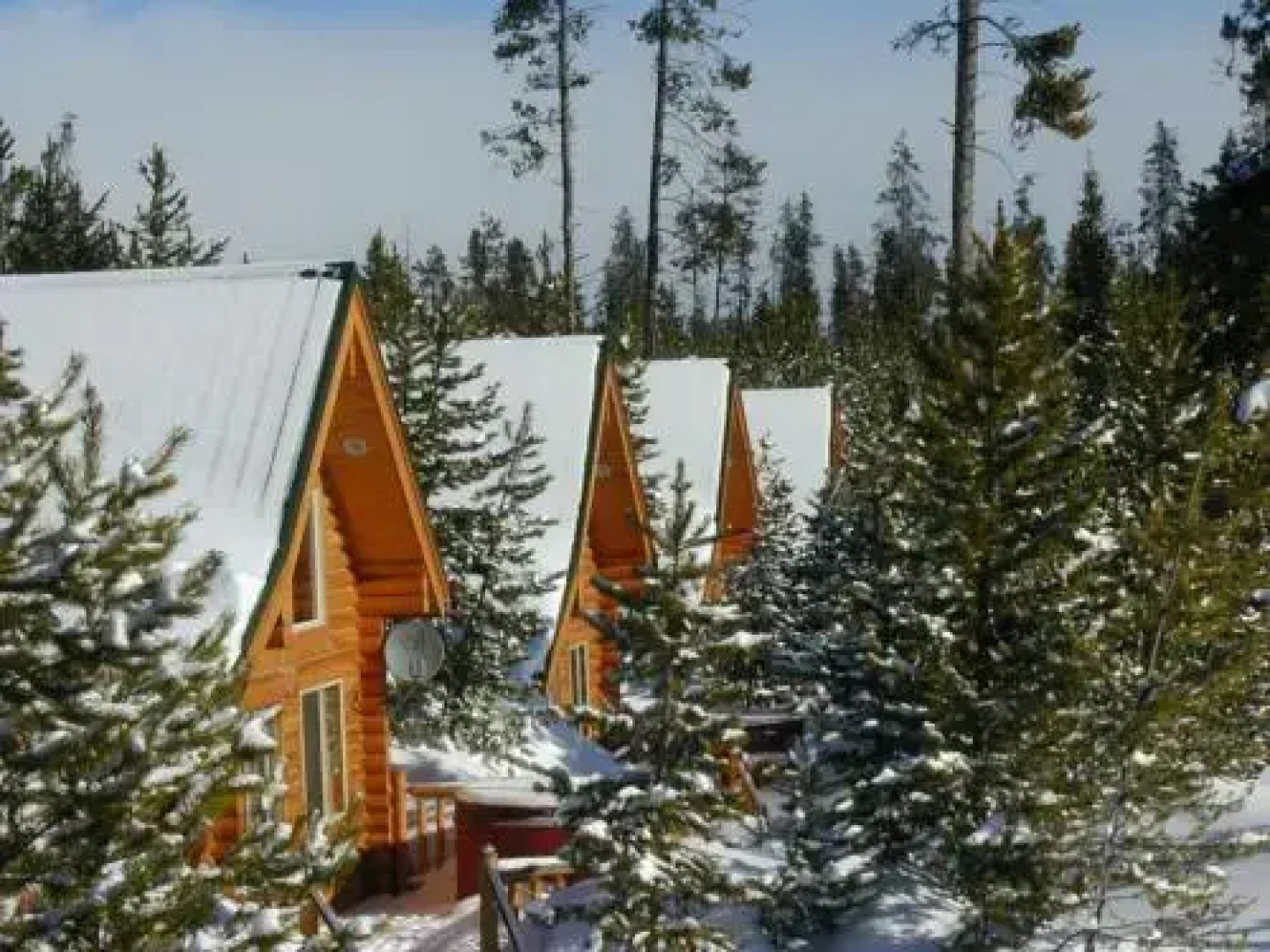 The Pines at Island Park