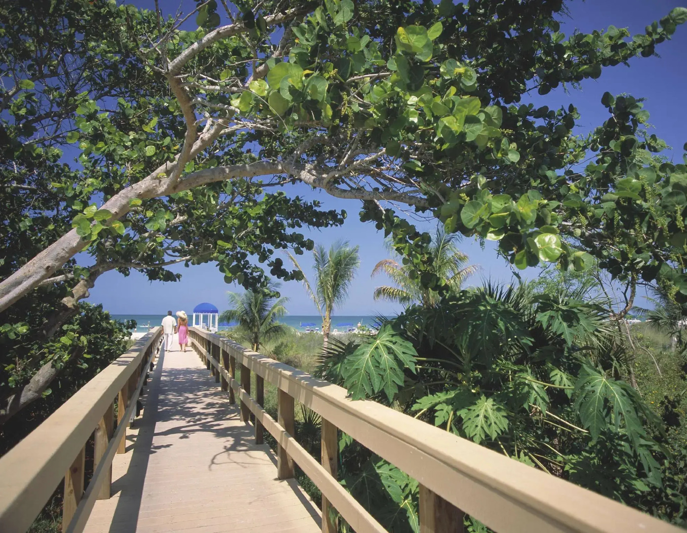 Marco Beach Ocean Suites