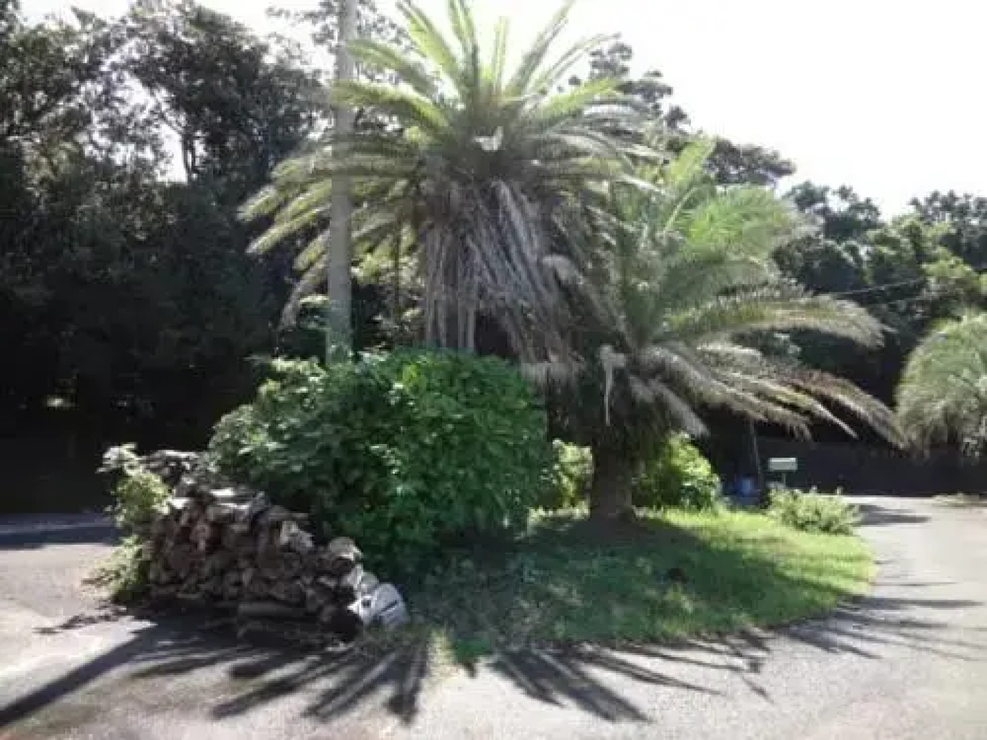 Mandarin Island Hotel