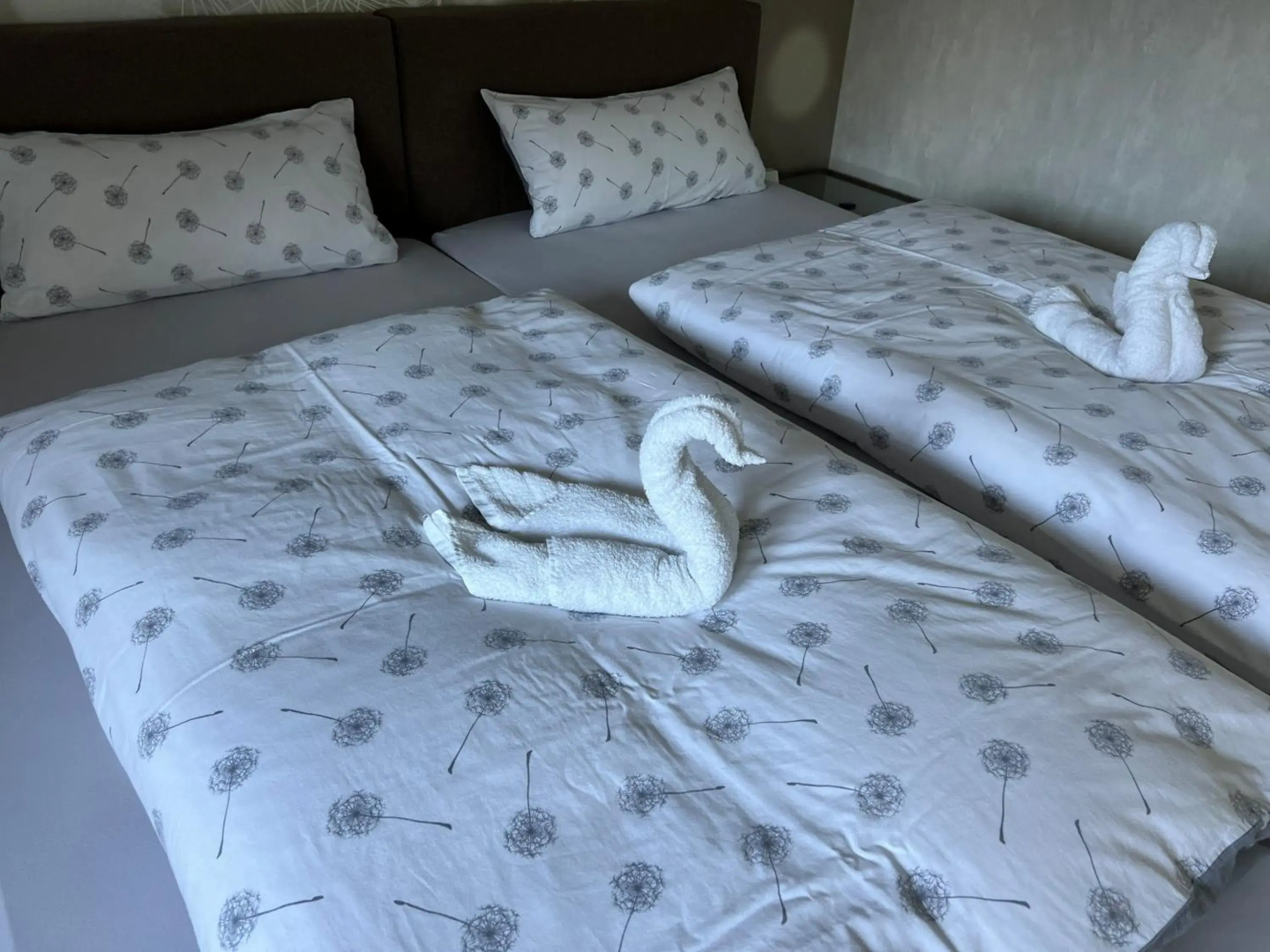 Peedy's luxuriöse 60m² Wohnung mit Balkonterrasse