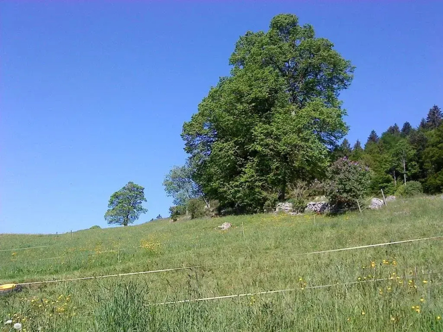 Chambre dhôtes Petit Martel